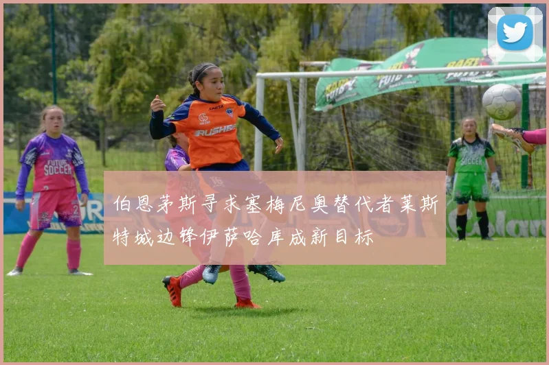 伯恩茅斯寻求塞梅尼奥替代者莱斯特城边锋伊萨哈库成新目标