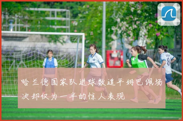哈兰德国家队进球数追平姆巴佩场次却仅为一半的惊人表现