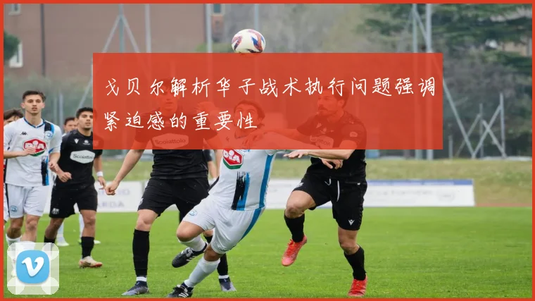 戈贝尔解析华子战术执行问题强调紧迫感的重要性